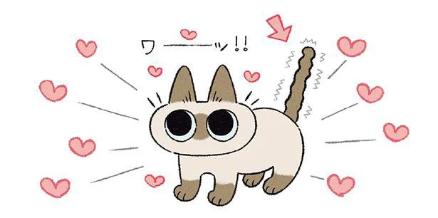 期待しているときとしていないときの落差よ…正直なしっぽの話／まだまだ!!! シャム猫あずきさんは世界の中心（5）