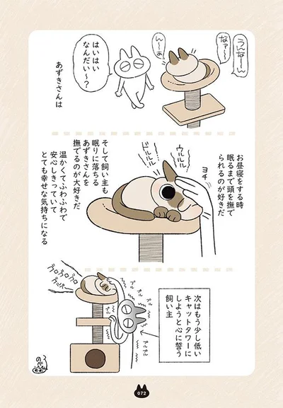 次はもう少し低いキャットタワーにしようと心に誓う飼い主