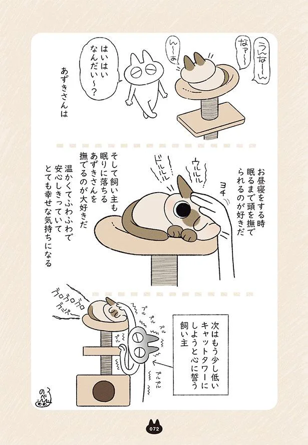 次はもう少し低いキャットタワーにしようと心に誓う飼い主