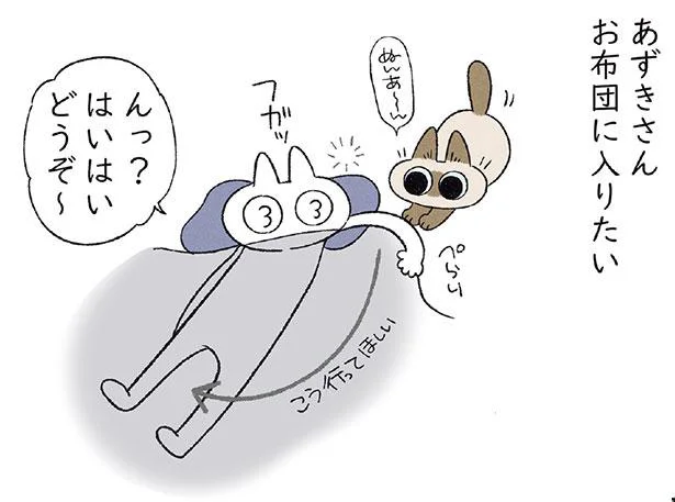 どうして？お布団を出入りする時、飼い主を○○していく猫／まだまだ!!! シャム猫あずきさんは世界の中心（9）