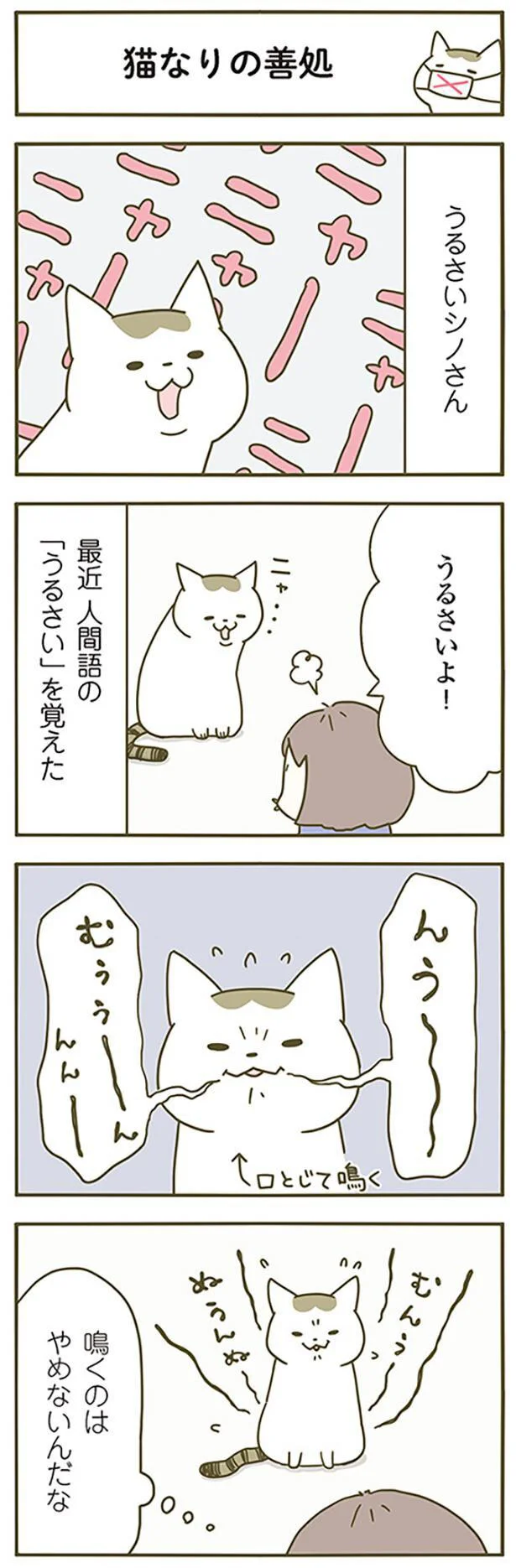 猫なりの善処