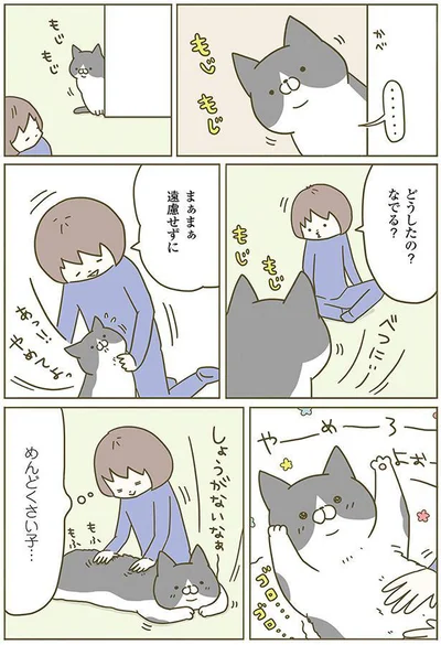 どうしたの？なでる？