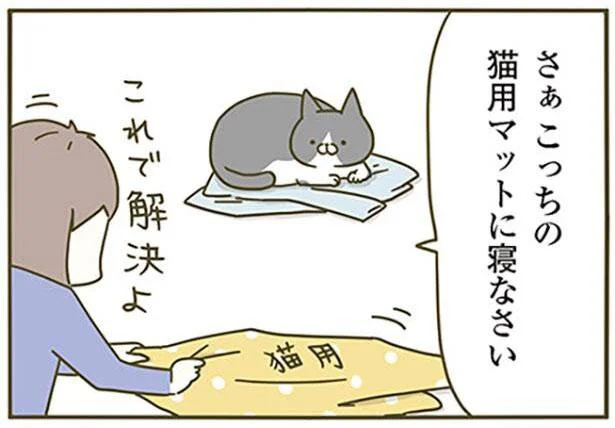 さぁこっちの猫用マットで寝なさい