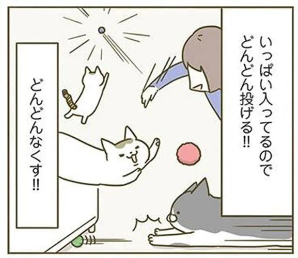 どんどんなくなるねこのおもちゃ。でもどこになくなってるんだ 