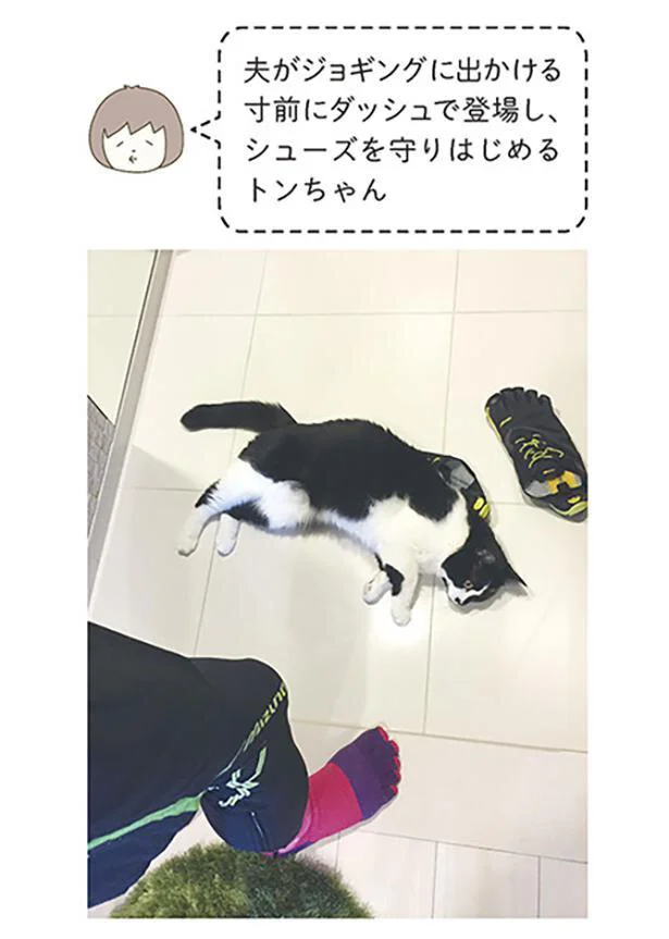 シューズを守りはじめるトンちゃん