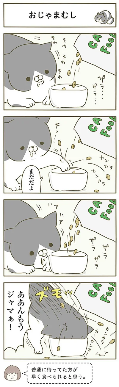 おじゃまむし