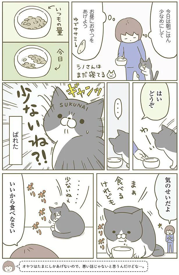 あーあ…って顔される、あんまり好きじゃないエサのときのねこたち