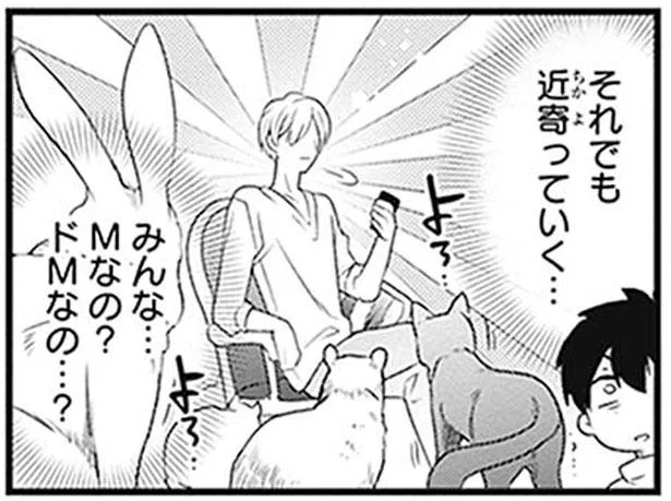 昼も夜も動物たちが大集合。みんな義兄が大好きすぎる！／こはる日和とアニマルボイス1（6）