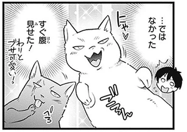 小憎らしいけど可愛らしい、愛しき動物たちの日常／こはる日和とアニマルボイス1（12）