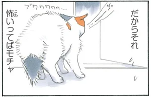 怖い…誰もいないはずのドアの前で威嚇をはじめる猫／拾い猫のモチャ4（4）