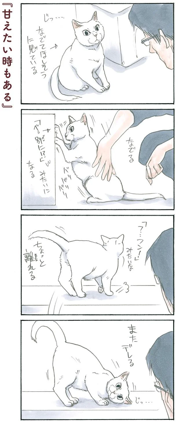 なでてほしそうに見ている