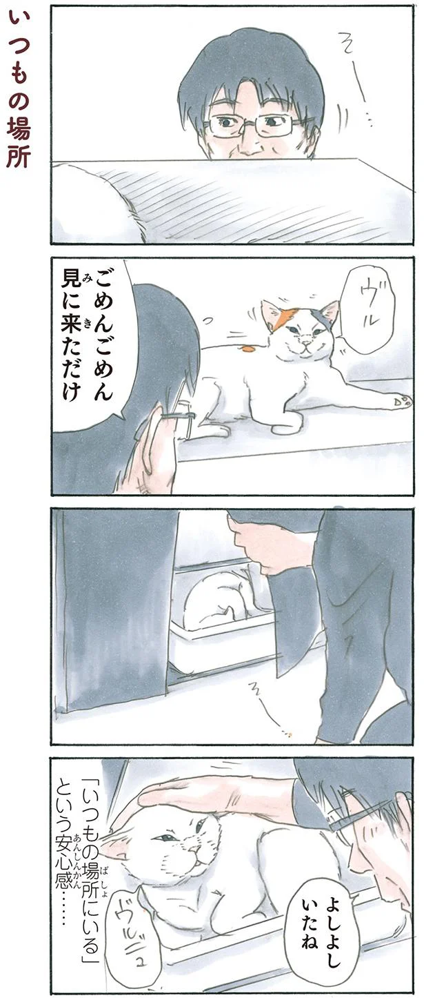 いつもの場所