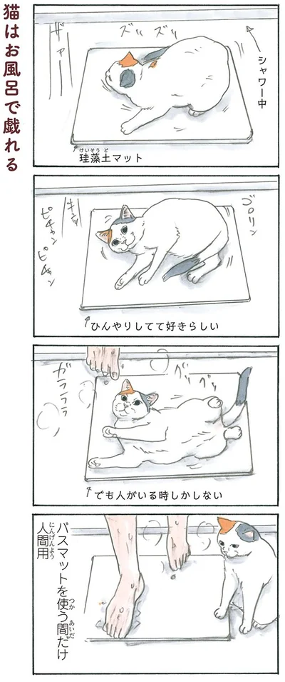 猫はお風呂で戯れる