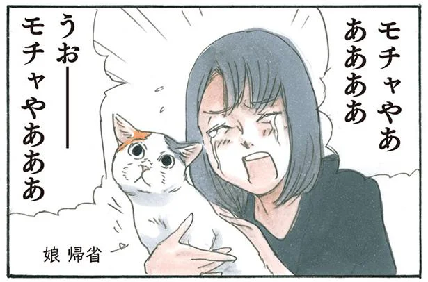 こじらせ猫不足