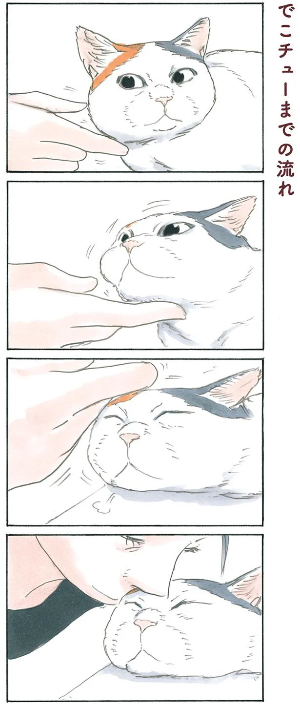勝手にやめたら猫パンチ 猫たちの遊んでループが止まらない 拾い猫のモチャ5 6 レタスクラブ 勝手にやめたら猫パンチ 猫たちの遊んでループが止まらない 拾い猫のモチャ5 6 レタスクラブ