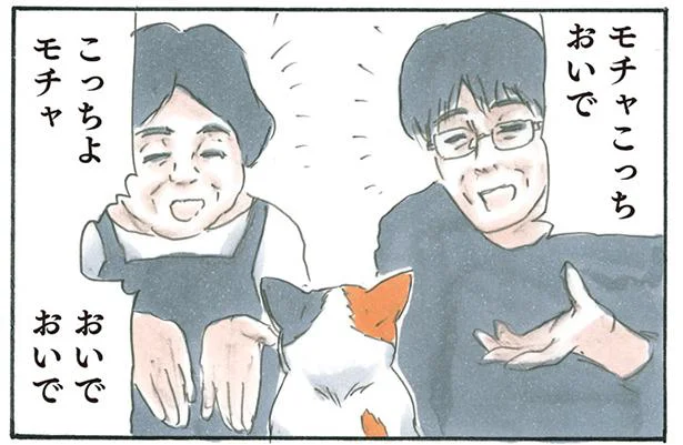 こっちおいで!