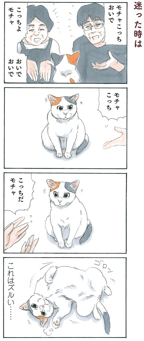 迷った時は