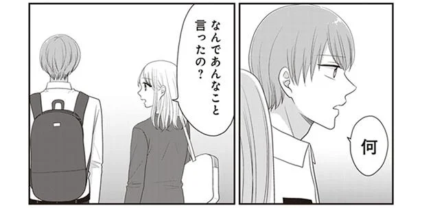 「好きだから？」男友だちが私の恋を応援できない理由／推しに嘘をついて近づいてしまいました。（5）