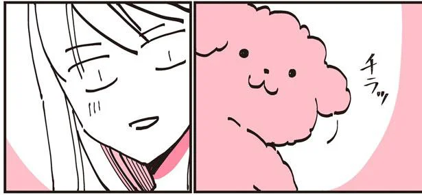 夏の暑い日も、モコモコのお尻をつけてくるうちの犬。暑苦しいのにどかさない理由は／うちのトイプーがアイドルすぎる。（1）