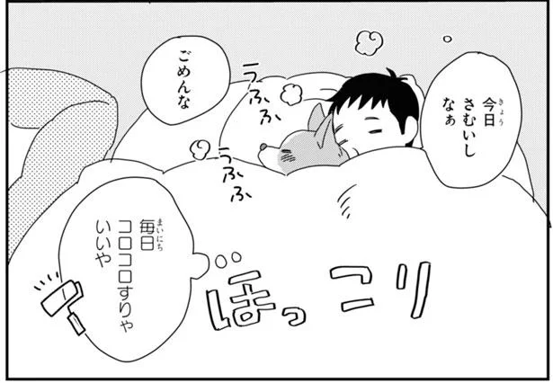 お布団へはご遠慮願いたい換毛期のコーギー でも今日は寒いから あしょんでよッ うちの犬ログ 7 3 レタスクラブ