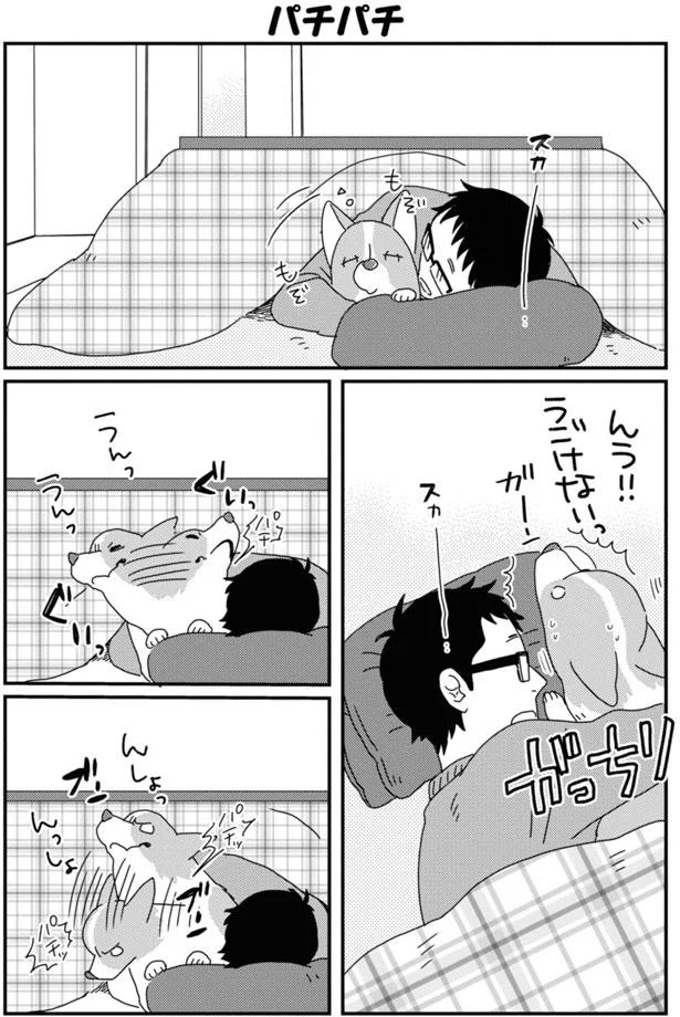 こたつでうたた寝中の一人と一匹 起こしたくてペロッとなめたら あしょんでよッ うちの犬ログ 7 6 レタスクラブ