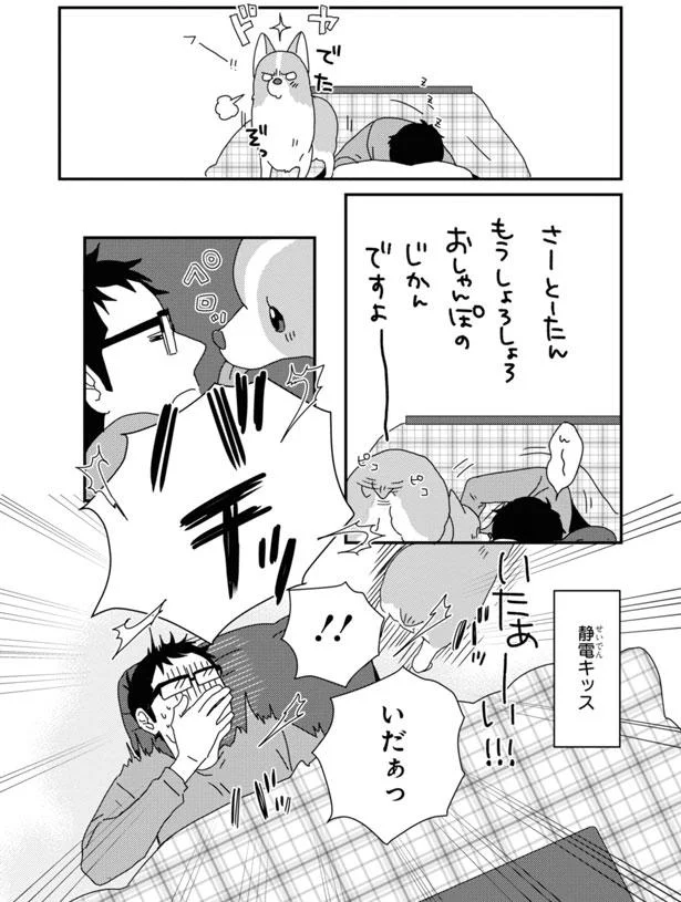 こたつでうたた寝中の一人と一匹 起こしたくてペロッとなめたら あしょんでよッ うちの犬ログ 7 6 レタスクラブ