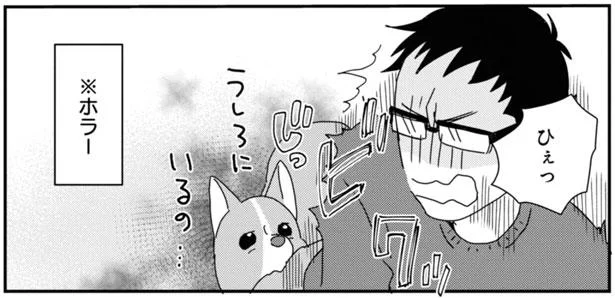 気づいたら真後ろにいるコーギー いつの間に移動した あしょんでよッ うちの犬ログ 7 8 レタスクラブ