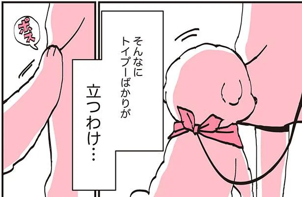 そんなにトイプーばかりが立つわけ…