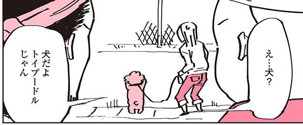 犬だよ トイプードルじゃん