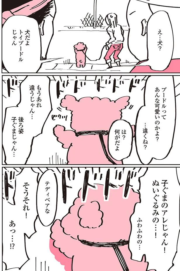 もうあれ違うじゃん…後ろ姿　子ぐまじゃん…