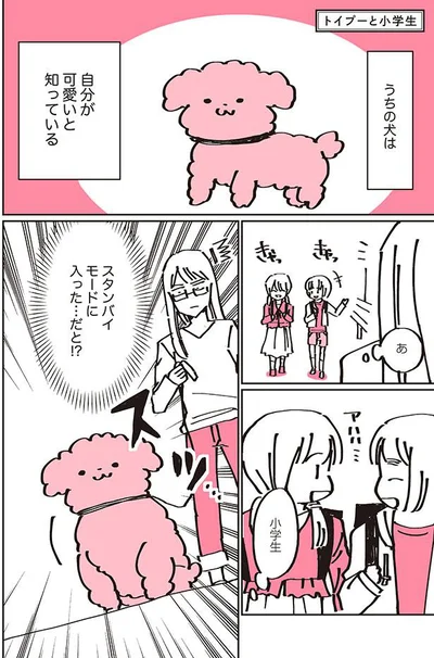 うちの犬は　自分が可愛いと知っている