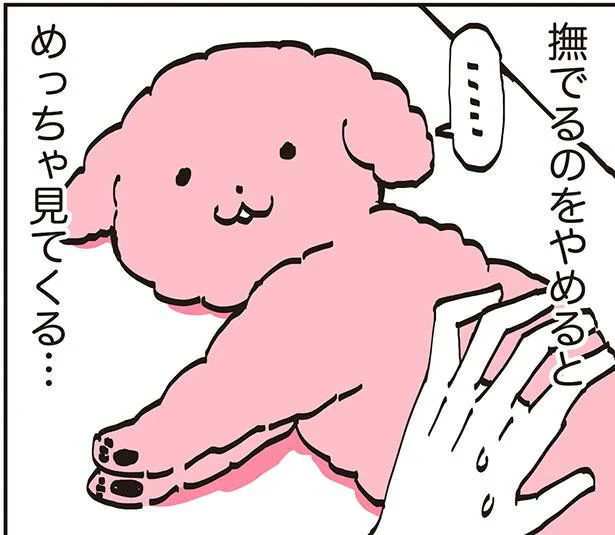 撫でるのをやめると　めっちゃ見てくる…