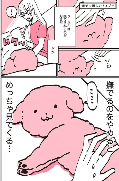 クーさんは撫でられるのが好きだ