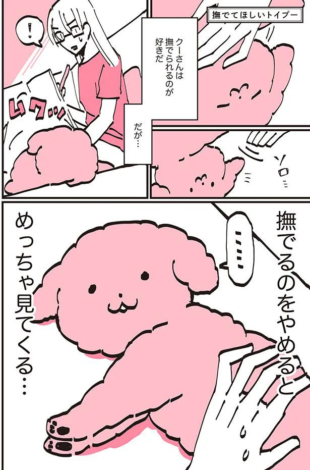 クーさんは撫でられるのが好きだ