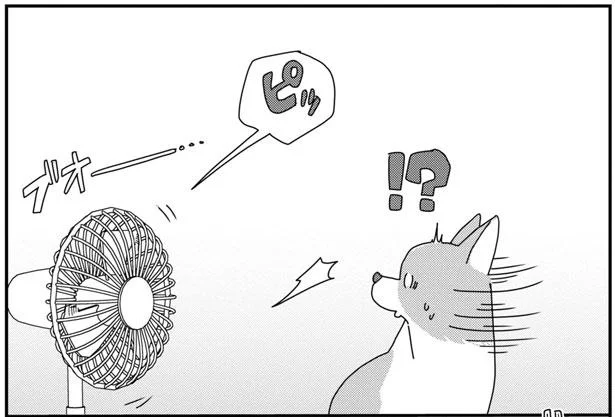 扇風機が突然ピッ!