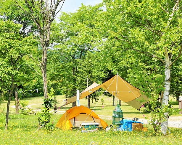 大自然でのキャンプ体験もかけがえのない思い出に。