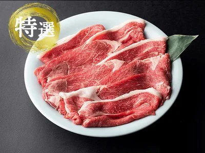  【京都府亀岡市】京の肉 ひら山 厳選 京都府産黒毛和牛 切り落とし 500g＋100g増量（計600g）