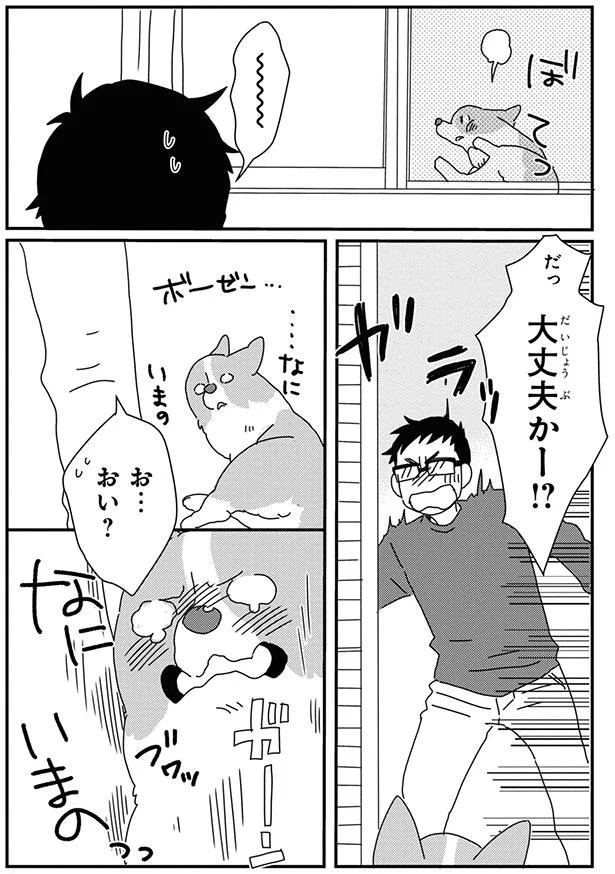 なに いまの 網戸トラップにボーゼンとするコーギー あしょんでよッ うちの犬ログ 8 6 画像5 15 レタスクラブ