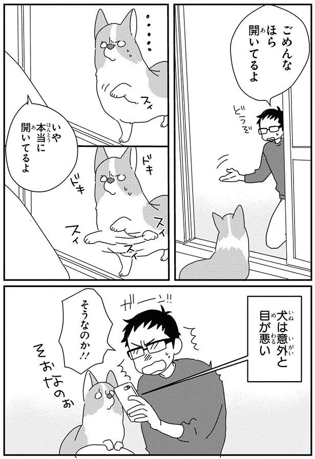 なに いまの 網戸トラップにボーゼンとするコーギー あしょんでよッ うちの犬ログ 8 6 画像6 15 レタスクラブ
