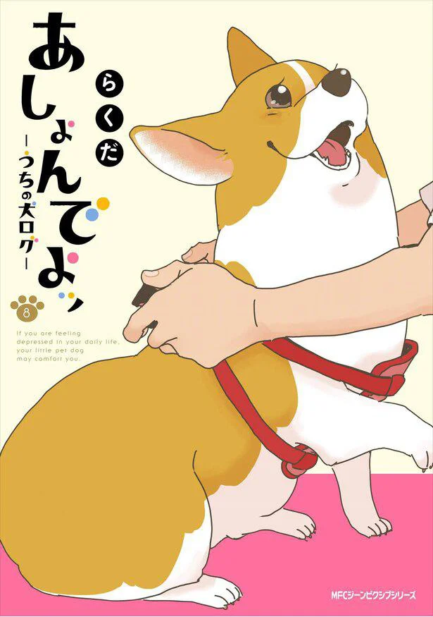 なに いまの 網戸トラップにボーゼンとするコーギー あしょんでよッ うちの犬ログ 8 6 画像7 15 レタスクラブ