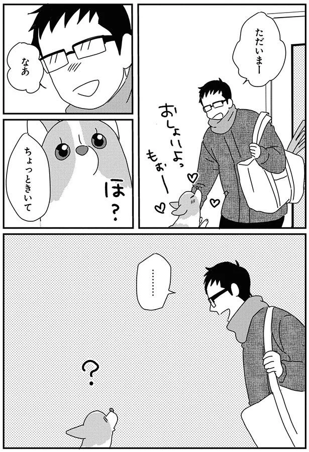 うちのコーギーにもやってほしい カクンと首をかしげる可愛い仕草 あしょんでよッ うちの犬ログ 8 9 レタスクラブ