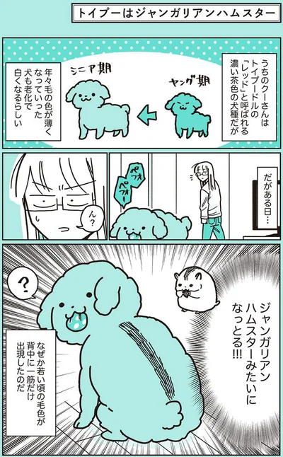 犬も老化で白くなるらしいが…