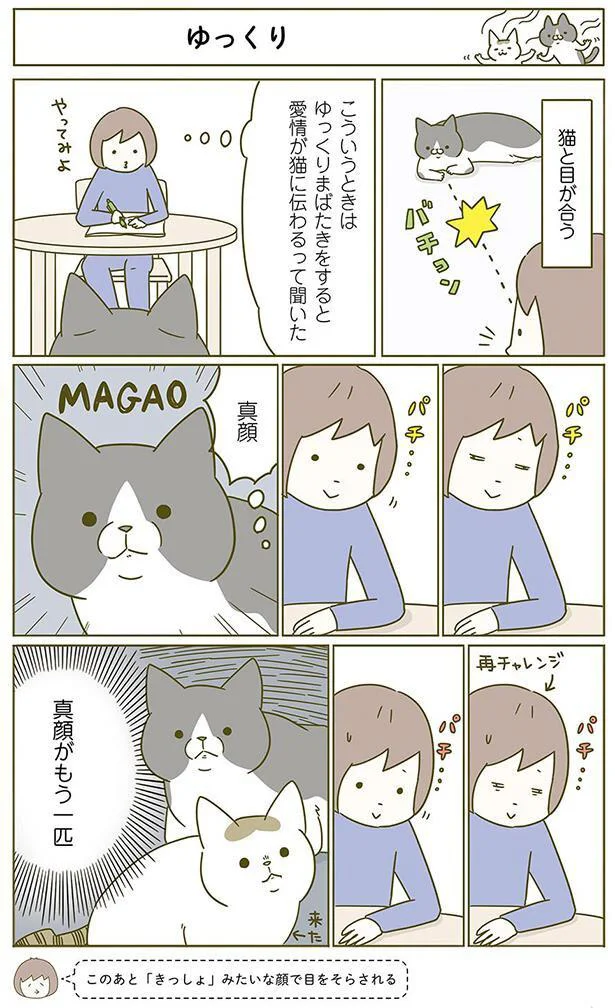 ゆっくりまばたきすると愛情が伝わる 試してみた結果 うちの猫がまた変なことしてる 2 2 レタスクラブ