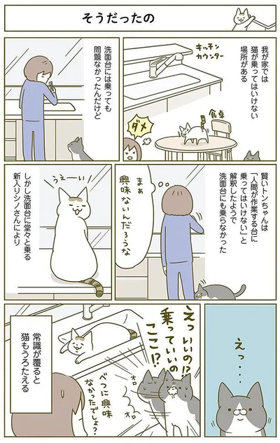 常識が覆ると猫もうろたえる