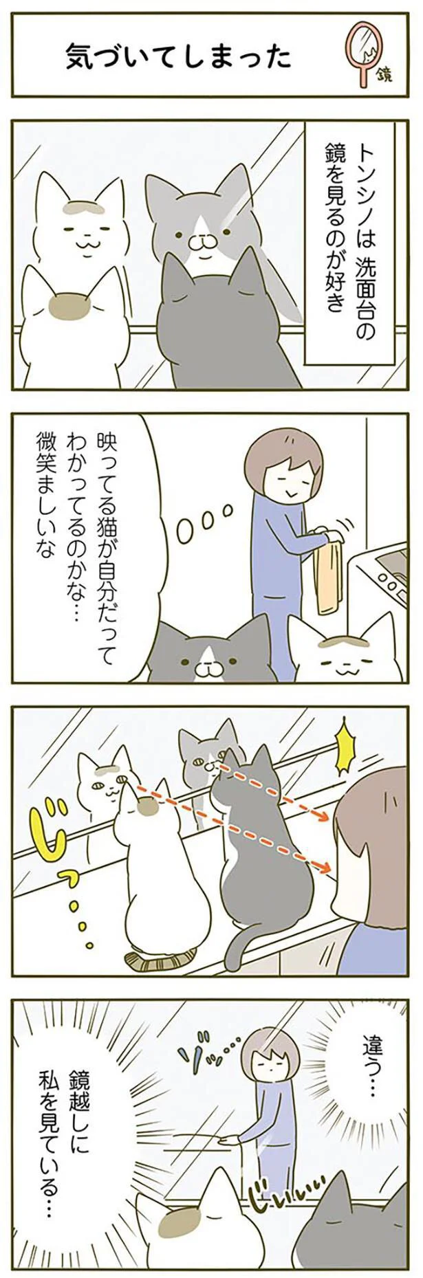 鏡越しに私を見ている…