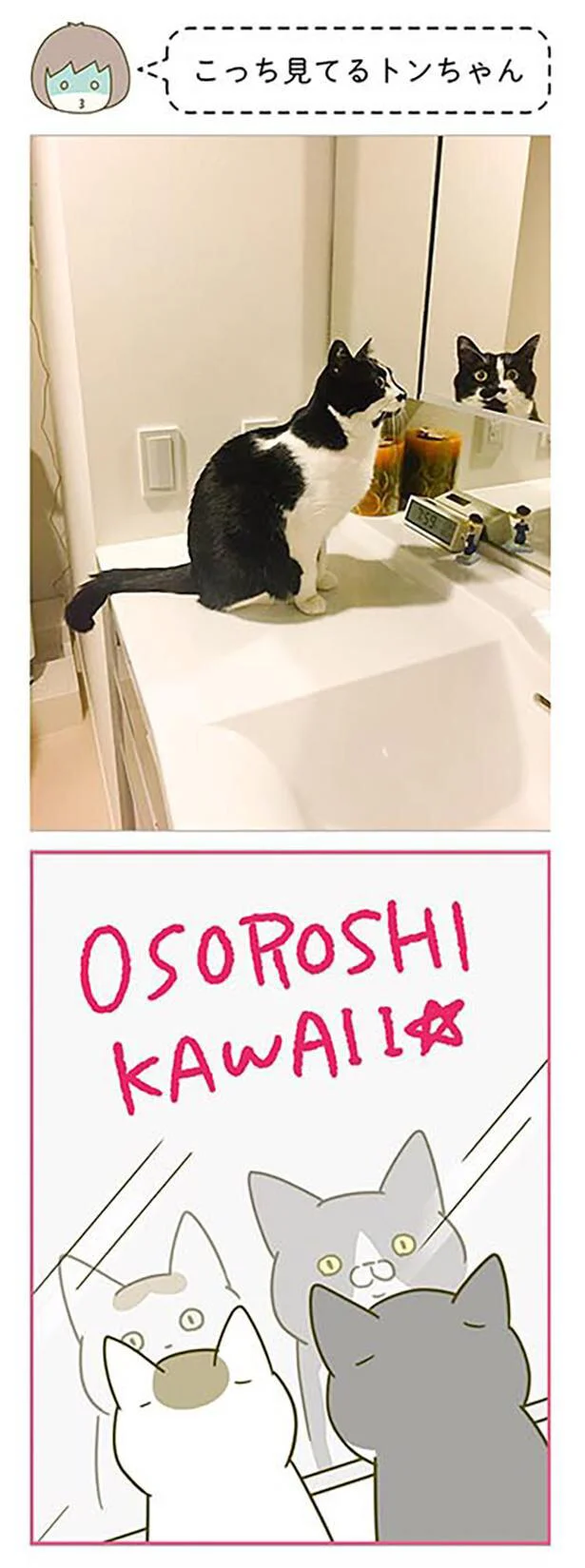 安心の定価販売 洗面器 水のはねを防ぐ 洗面台 陶磁器 子供 台の上の鉢 R 猫 R 可愛らしい バス トイレ収納 Www Croftheadholidaypark Co Uk