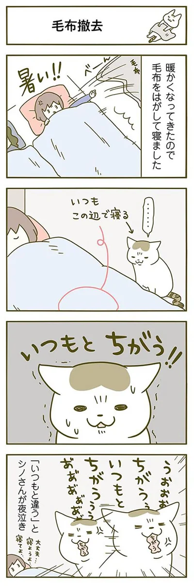 いつもとちがう！！