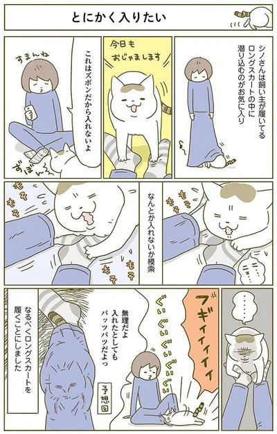 これはズボンだから入れないよ