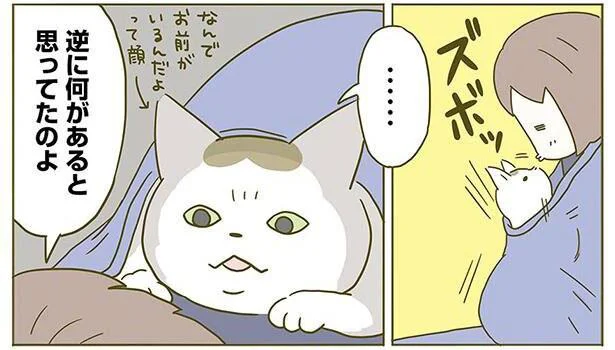 逆になにがあると思ってたのよ