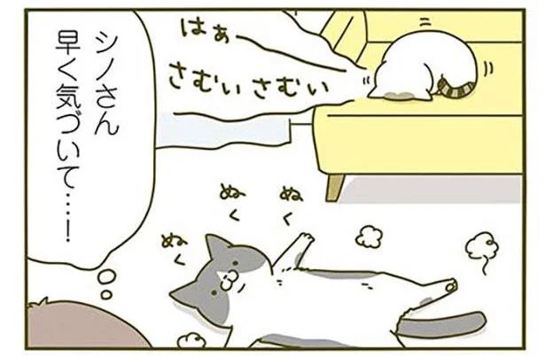 シノさん 早く気づいて…!
